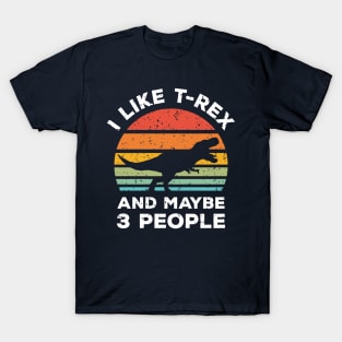 I Like T-Rex and Maybe 3 People, Retro Vintage Sunset with Style Old Grainy Grunge Texture T-Shirt